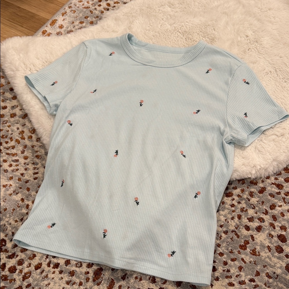 American Eagle Light Blue Floral Embroidered T-Shirt